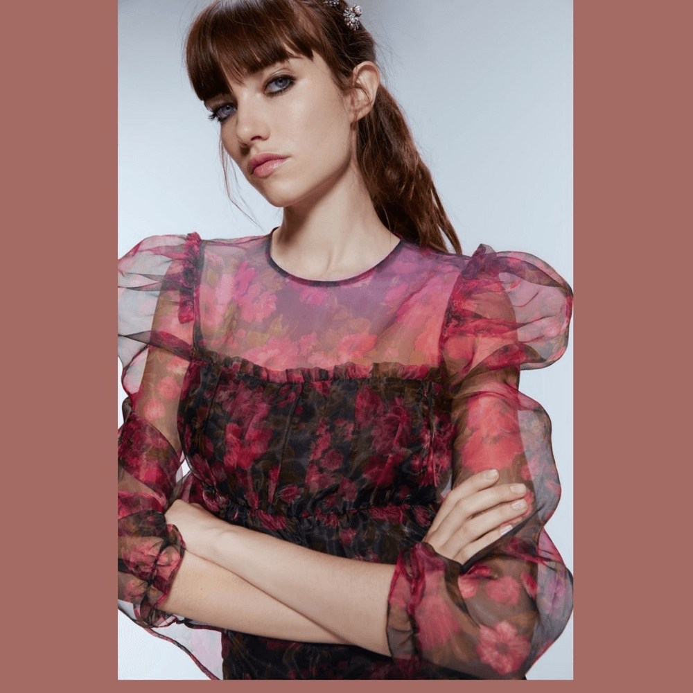 Zara Floral Sheer Organza Cropped Top Size Medium Whimsical Fairy Puff Sleeves