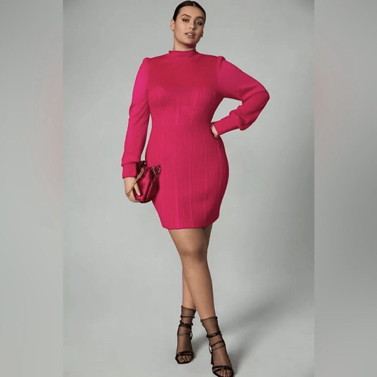 NEW Anthropologie Turtleneck Sweater Dress Size XL