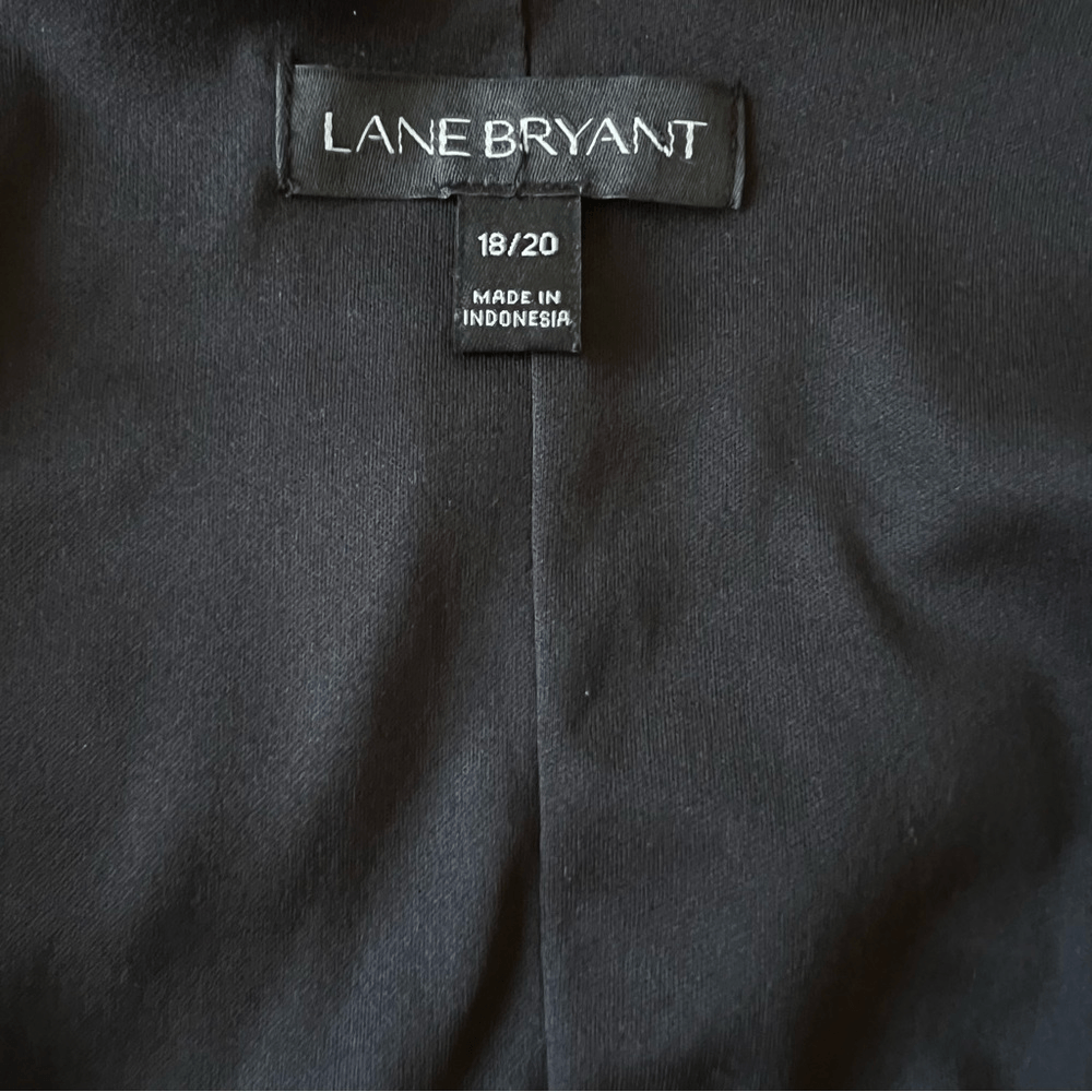 LANE BRYANT V-neck Long Sheer Sleeve Blouse Size 18/20