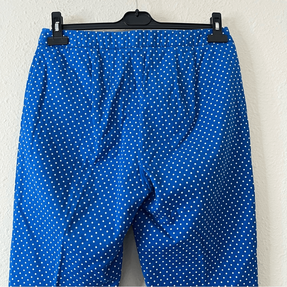 Talbots Hampshire Curvy Polka Dot Pants Size 6