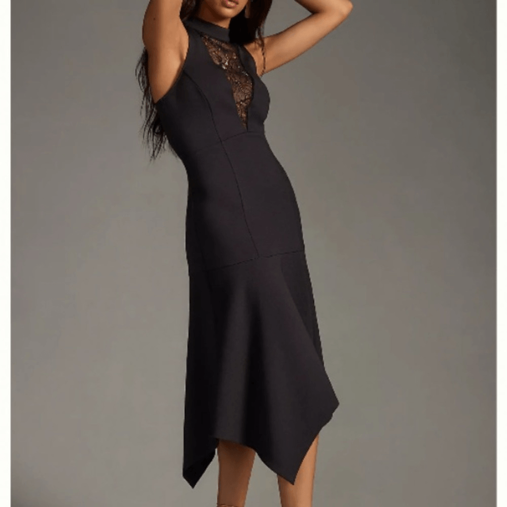 Anthropologie Mock-Neck Lace-Inset Fit & Flare Black Dress NEW Size Medium