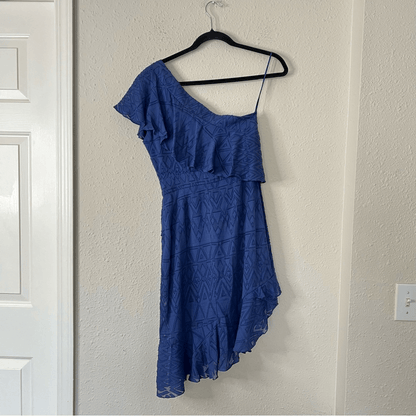 SALONI One Shoulder Ruffle Embroidered Silk Mini Dress Size 4