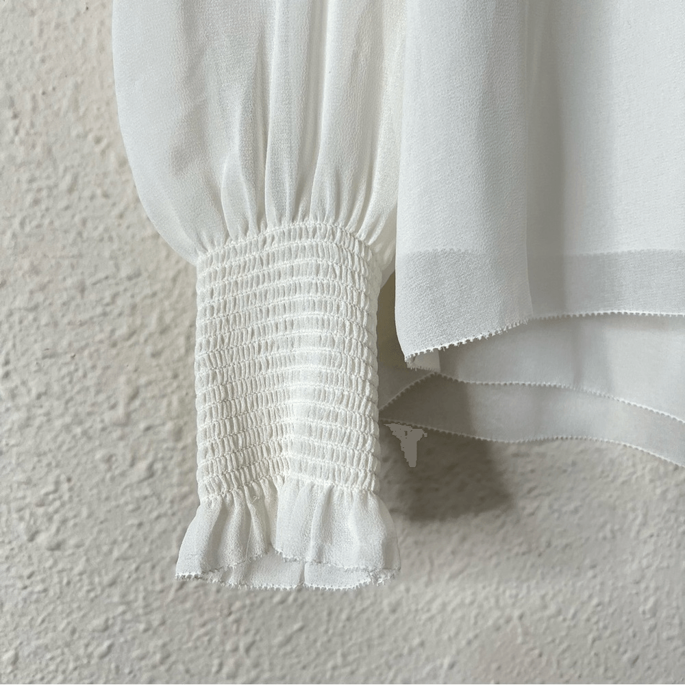 Aritzia Wilfred Valencia Blouse in White Size S Long Sleeve Chiffon