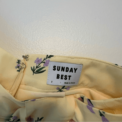 Aritzia Sunday Best Westley Pleated Short Pastel Yellow Size 2