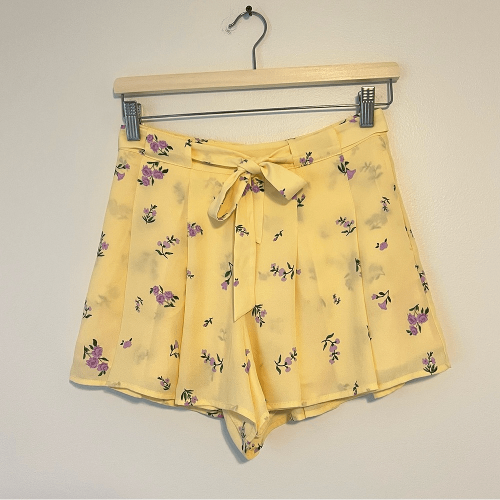 Aritzia Sunday Best Westley Pleated Short Pastel Yellow Size 2