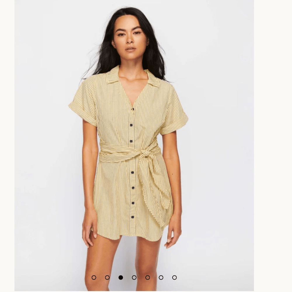 Nation LTD Nida Striped Mini Shirt Dress Size Medium