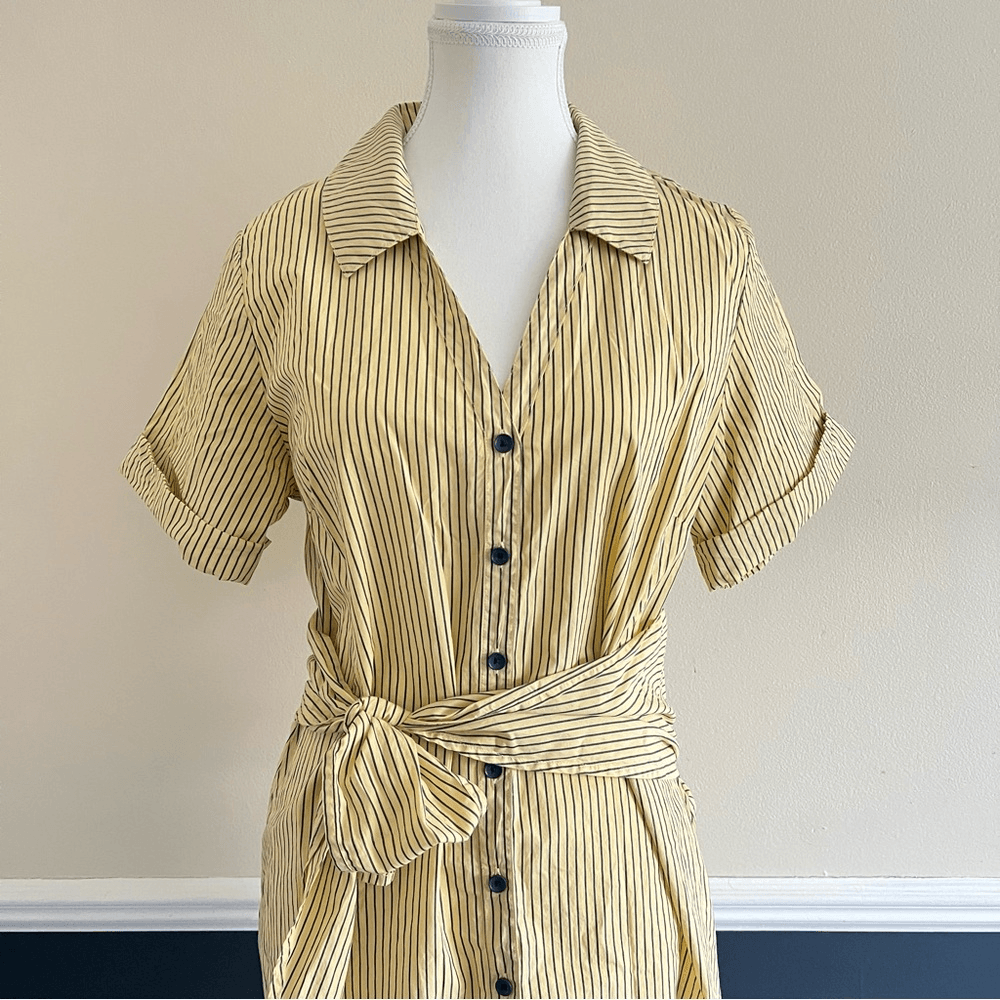 Nation LTD Nida Striped Mini Shirt Dress Size Medium