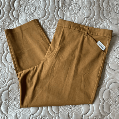 Old Navy High-Waisted Pixie Skinny Ankle Pants NEW Plus Size 28