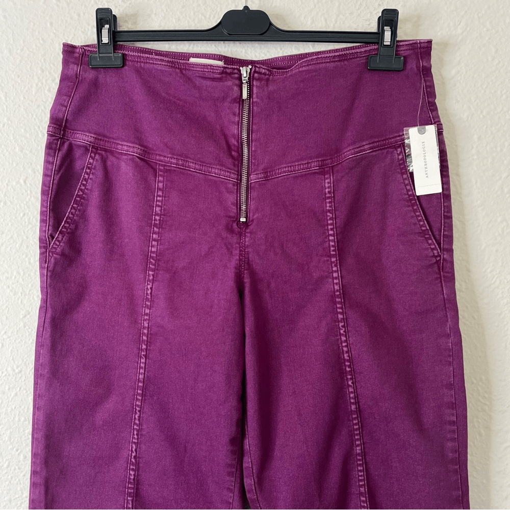 Anthropologie Pilcro High Rise Crop Flare Pants NEW Size 34