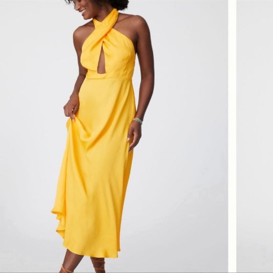 Farm x Anthropologie Halter Maxi Dress Farm Rio NEW Size XL