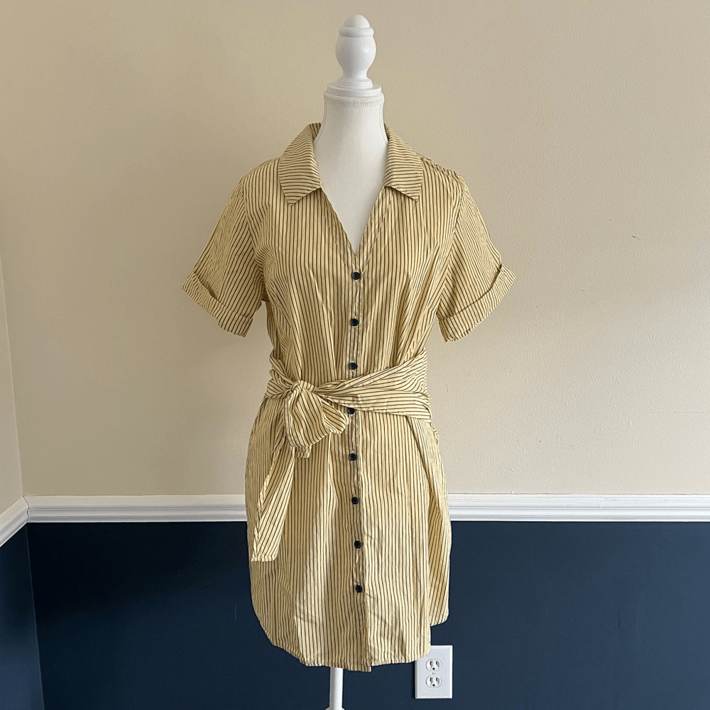 Nation LTD Nida Striped Mini Shirt Dress Size Medium