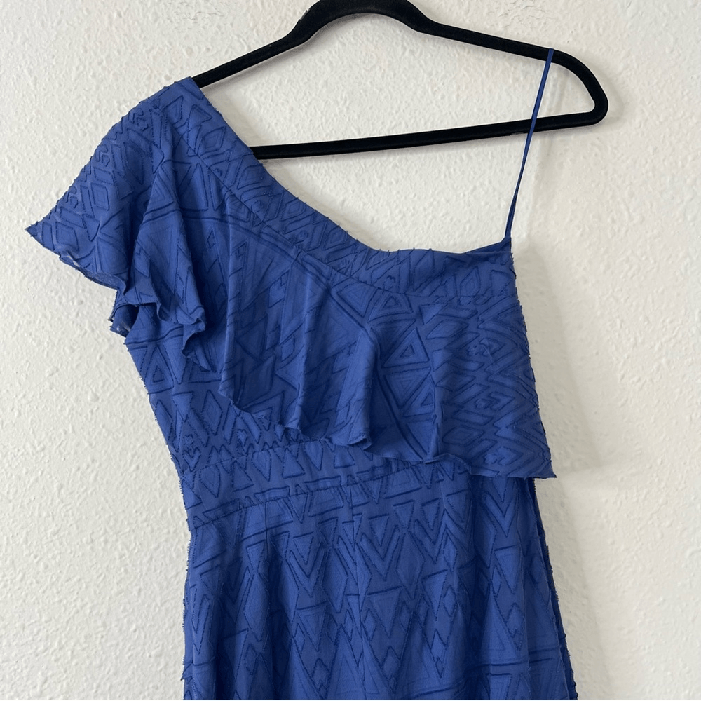 SALONI One Shoulder Ruffle Embroidered Silk Mini Dress Size 4