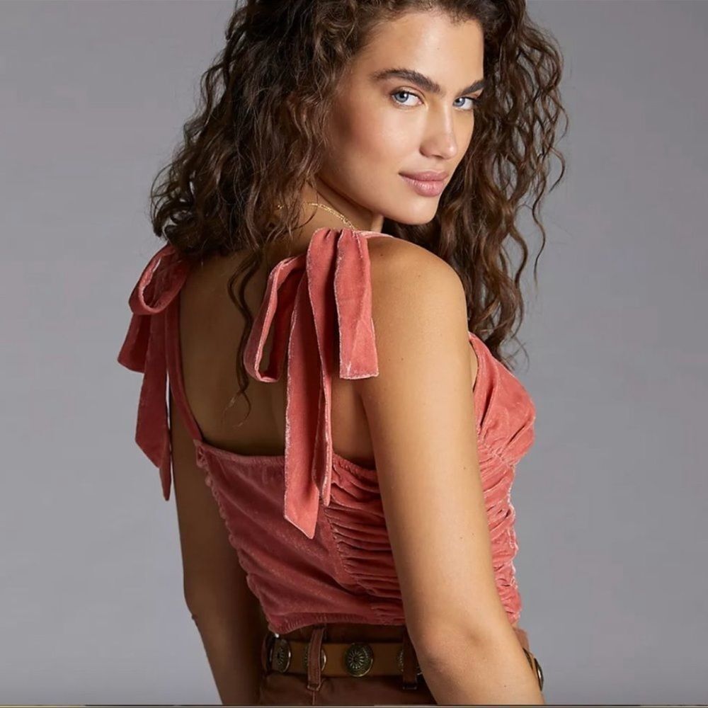 Anthropologie Corset-Seamed Velvet Top Size L