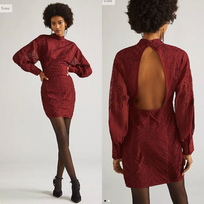 Anthropologie | Not So Serious by Pallavi Mohan Lace Mini Dress Plus Size 16W