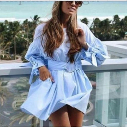 Zara Sky Blue Poplin Dress with Buckle Belt NEW Size Small Blogger Favorite