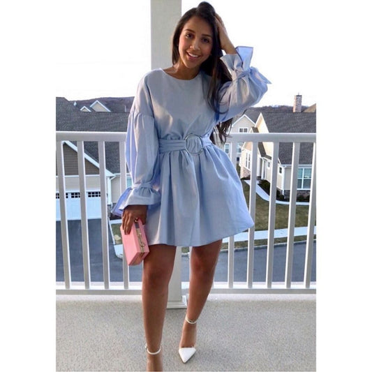 Zara Sky Blue Poplin Dress with Buckle Belt NEW Size Small Blogger Favorite