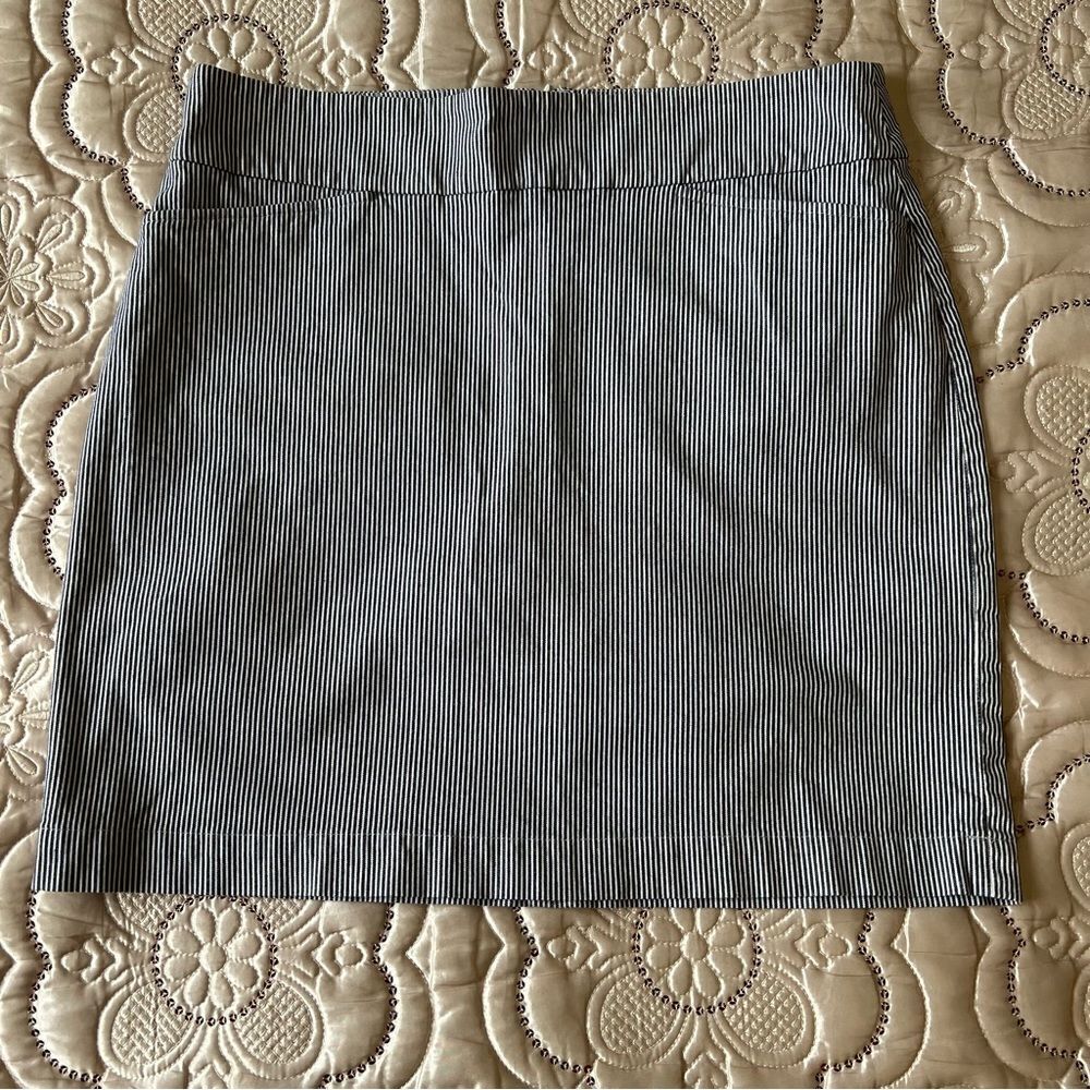 Talbots Striped Mini Skirt