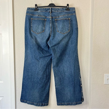 Anthropologie Pilcro Darted Wide-Leg Jeans NEW Plus Size 18W